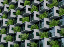 The Rise of Green Homes: Top Sustainable Features in Modern Real Estate by Elliot Adler San Diego