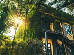 green real estate trends