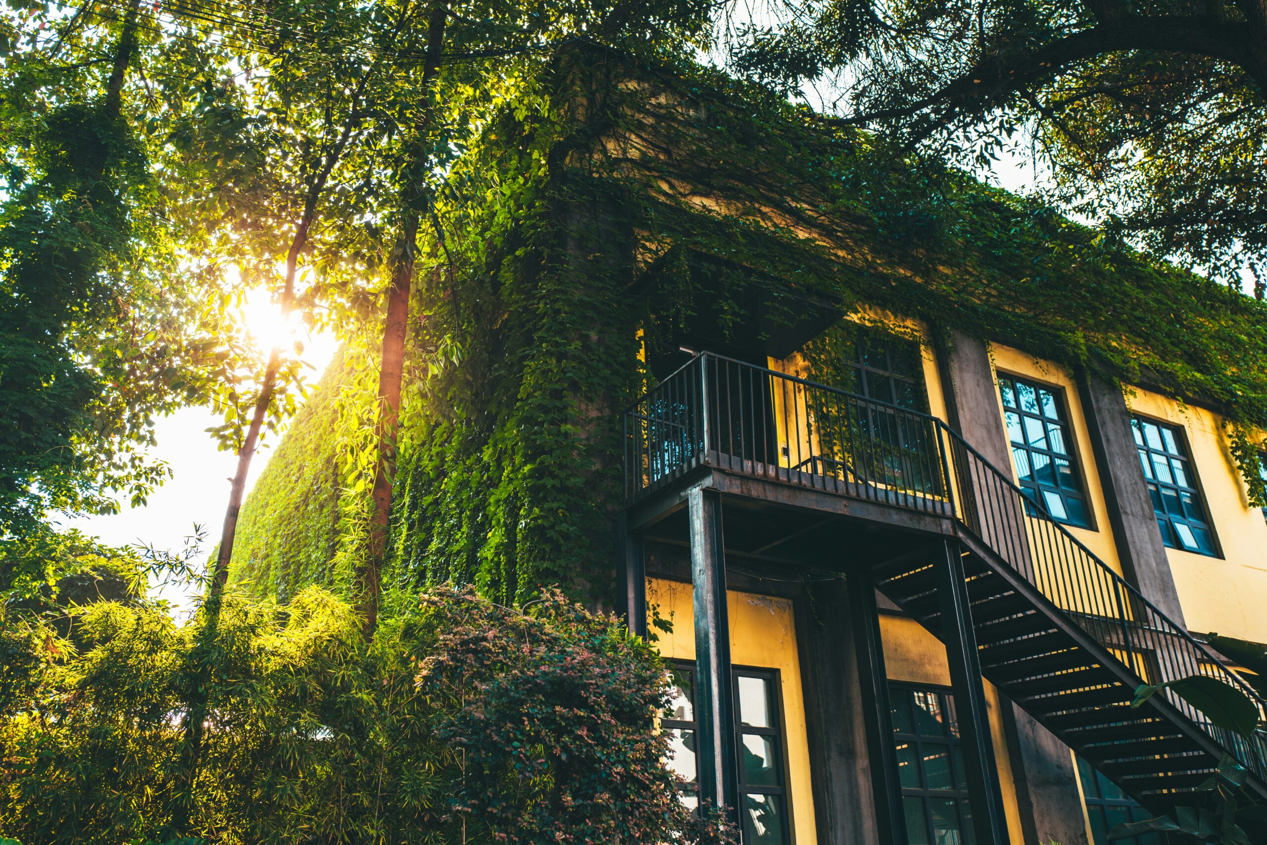 green real estate trends